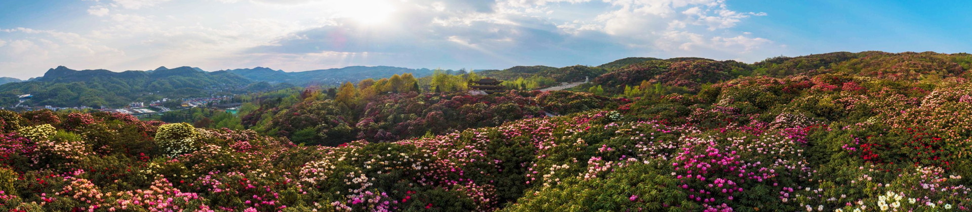 毕节协会